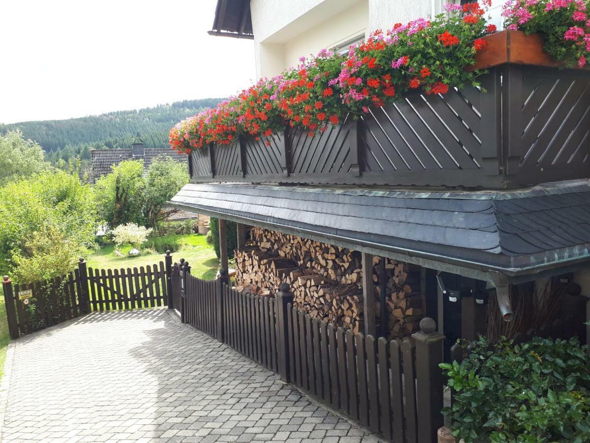 Ferienwohnungen Luge - وينتربرغ المظهر الخارجي الصورة